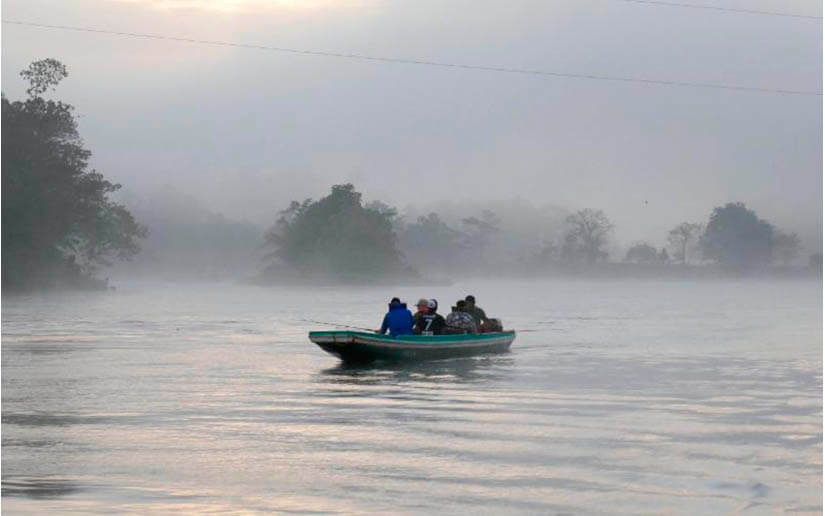 pesca 